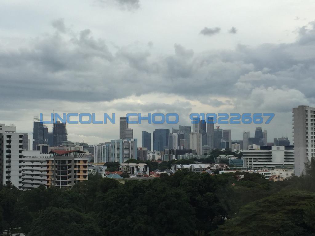 1 Moulmein Rise (D11), Apartment #96440882
